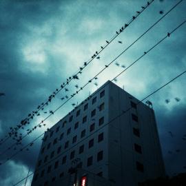 Furudera 暗黑写真