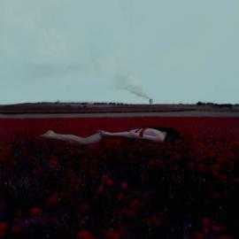 少女情怀的美丽梦境