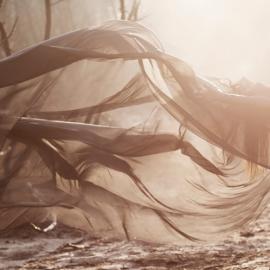Viktorija Raggana：人体与自然的奇幻摄影