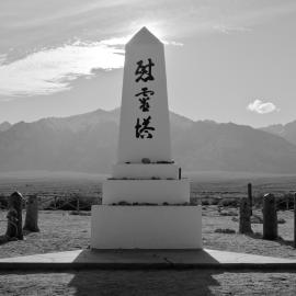 亚当斯：人生而自由，平等
