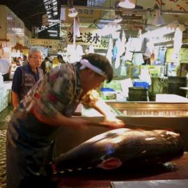 4:00-5:00 我踏入鲜味鱼市