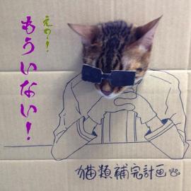 独特猫猫手绘Cosplay照片