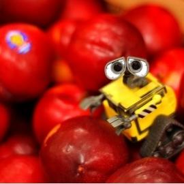 Oh Wall-E！