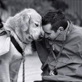 老友记 Dog And Human