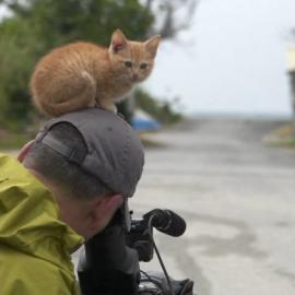 有超能力的猫猫摄影师