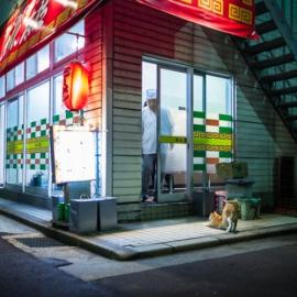 猫与日和