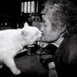 奶奶和猫