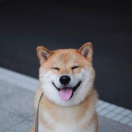 Maru酱:治愈你的幸福笑颜