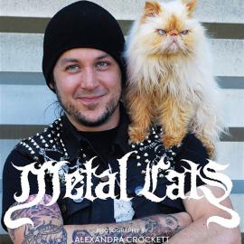 金属党的铁汉柔情：摇滚猫奴