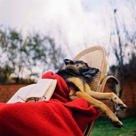 午后安眠一样的天堂告别