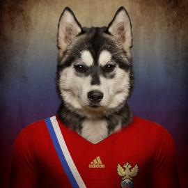 与众不同的世界足球先生