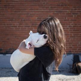 跟我回家：领养宠物与主人温馨照