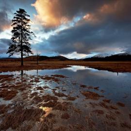 超有空间感的自然风光