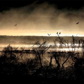 风华正茂的凄美