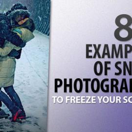 你那里下雪了吗？——80张雪景作品凝固你的屏幕
