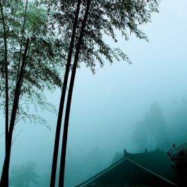 寻踪觅宝恋梅山