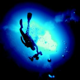 海底精灵 ——水下摄影