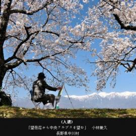 【朝日新闻】2011日本最美乡村景色 获奖作品欣赏