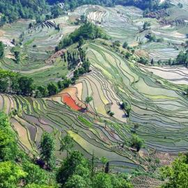 仙境梯田