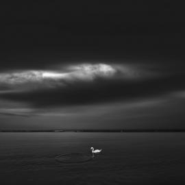 黑白视界:段岳衡眼中的安大略湖