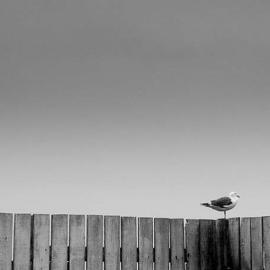 极简主义——Minimalism