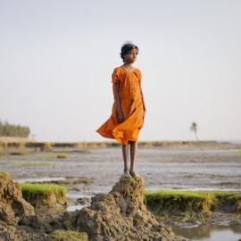 2013 Sony 世界摄影奖精彩照片——专业组