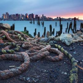 2013国家地理影赛入围新作