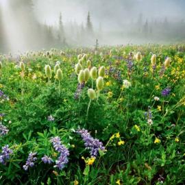 2013年5月 第一眼美景