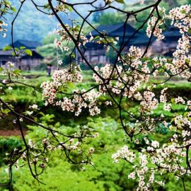 2013年4月 第一眼美景