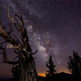 Timescapes：时间的风景