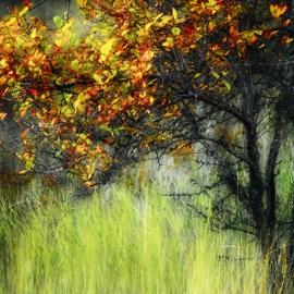 绘制时间的光影