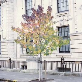 Osma Harvilahti的空气感摄影