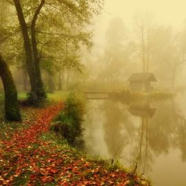 Zoltan Koi的朦胧美