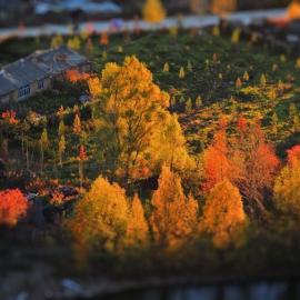 E-M5和我的漠河、内蒙、大兴安岭之旅