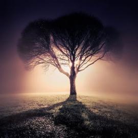 Mikko Lagerstedt-迷雾