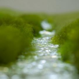 Eszter Burghardt 这边风景独好