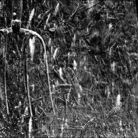 2012大理国际影会亚洲先锋：田中健作