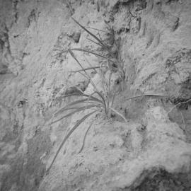 大理摄影节亚洲先锋:塔可