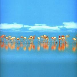 国家地理早期图集