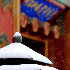 故宫雪景:美如画，美得这么安静
