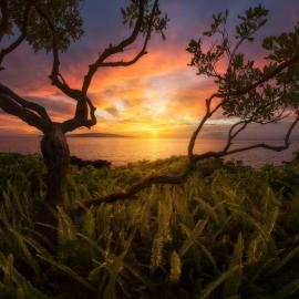 2015 美国年度风景摄影师比赛冠军作品赏