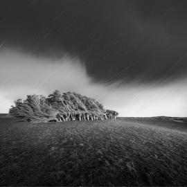 自然之叹：国际风光摄影师大赛佳作赏