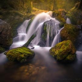 放下蘑菇拍风光，蘑菇达人的绝美景观