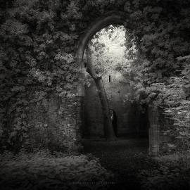 丰草绿缛而争茂，佳木葱茏而可悦