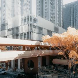 香港少年和他眼中的异色世界