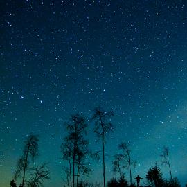 Mikko Lagerstedt镜头下的星夜故事