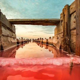 玫瑰色的海：可远观而不可亵玩