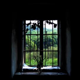 影像接力：窗外的世界