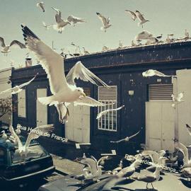 用Google街景来创作怎么样？