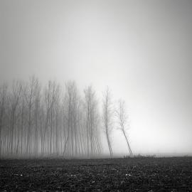 体育老师的迷雾森林